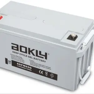 Bateria Solar AGM 12v 65Ah Aokly