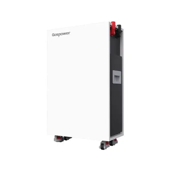 BATERIA DE LITIO CLASE A 48V 300AH 15.36KWH GOSPOWER