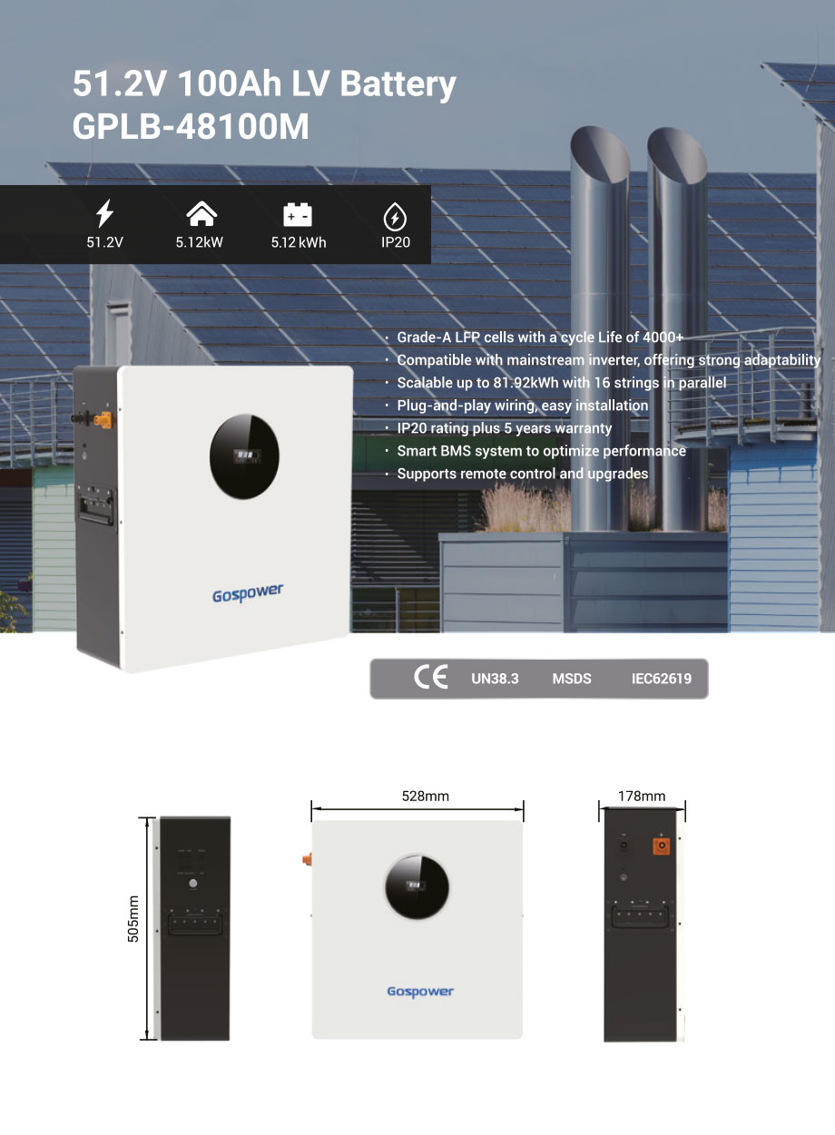 Batería de litio 51.2V 100Ah Gospower GPLB-48100M para sistema solar